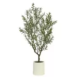 CG HUNTER, OLIVO DE ASPECTO NATURAL