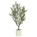 CG HUNTER, OLIVO DE ASPECTO NATURAL