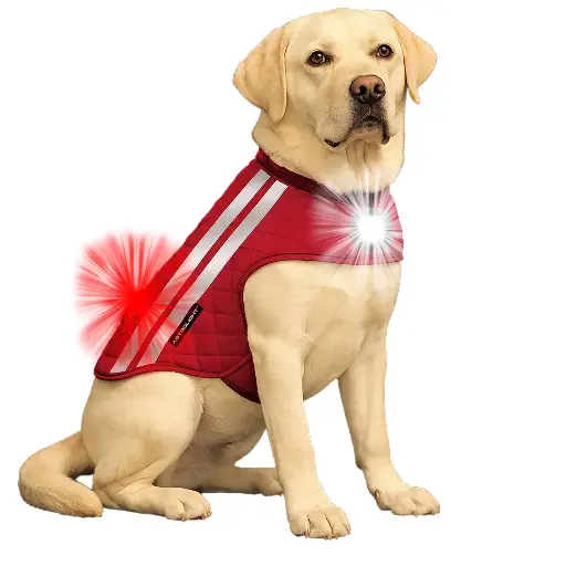 [0005410] CHALECO PARA PERRO 1 PZA LED DOG 